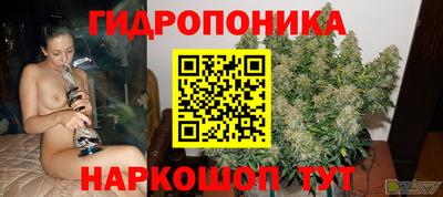 мяу мяу мука Краснознаменск