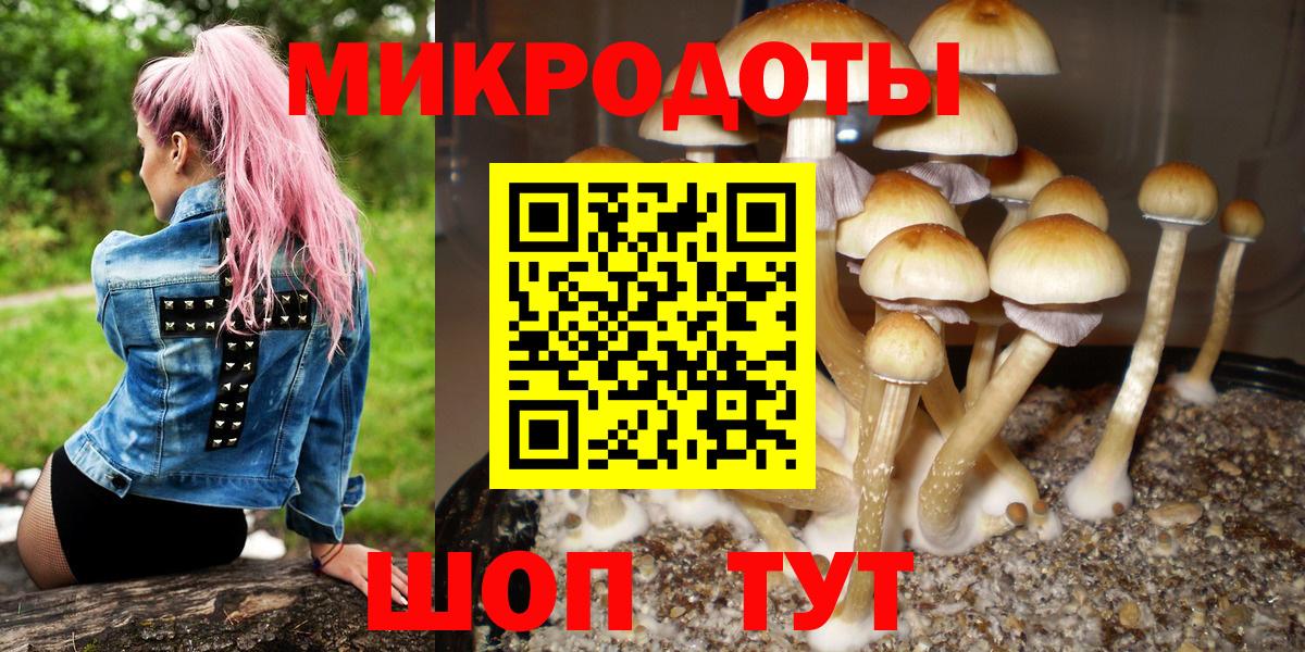 Галлюциногенные грибы Psilocybine cubensis Корсаков