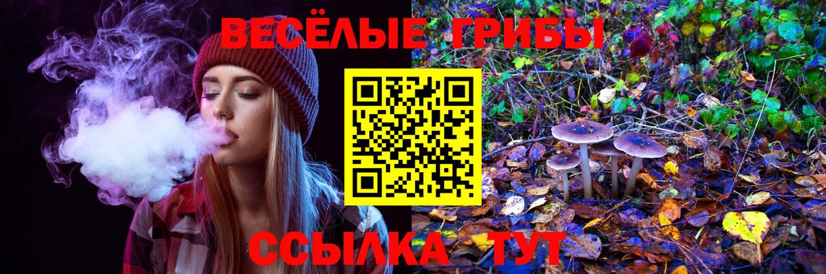 Корсаков  как найти закладки  Галлюциногенные грибы Cubensis  Вход с VPN  Галлюциногенные грибы мицелий 